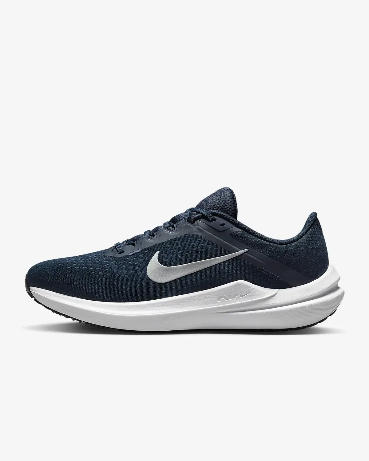 Nike Winflo 10. 1