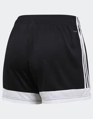 Tastigo 19 Shorts