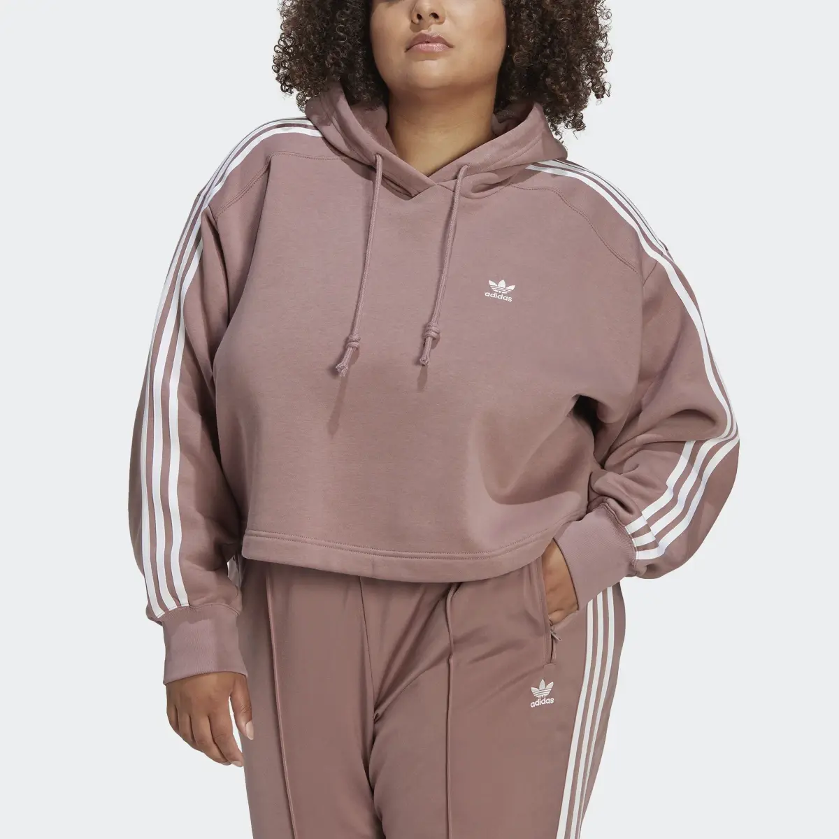 Adidas Adicolor Classics Hoodie (Plus Size). 1