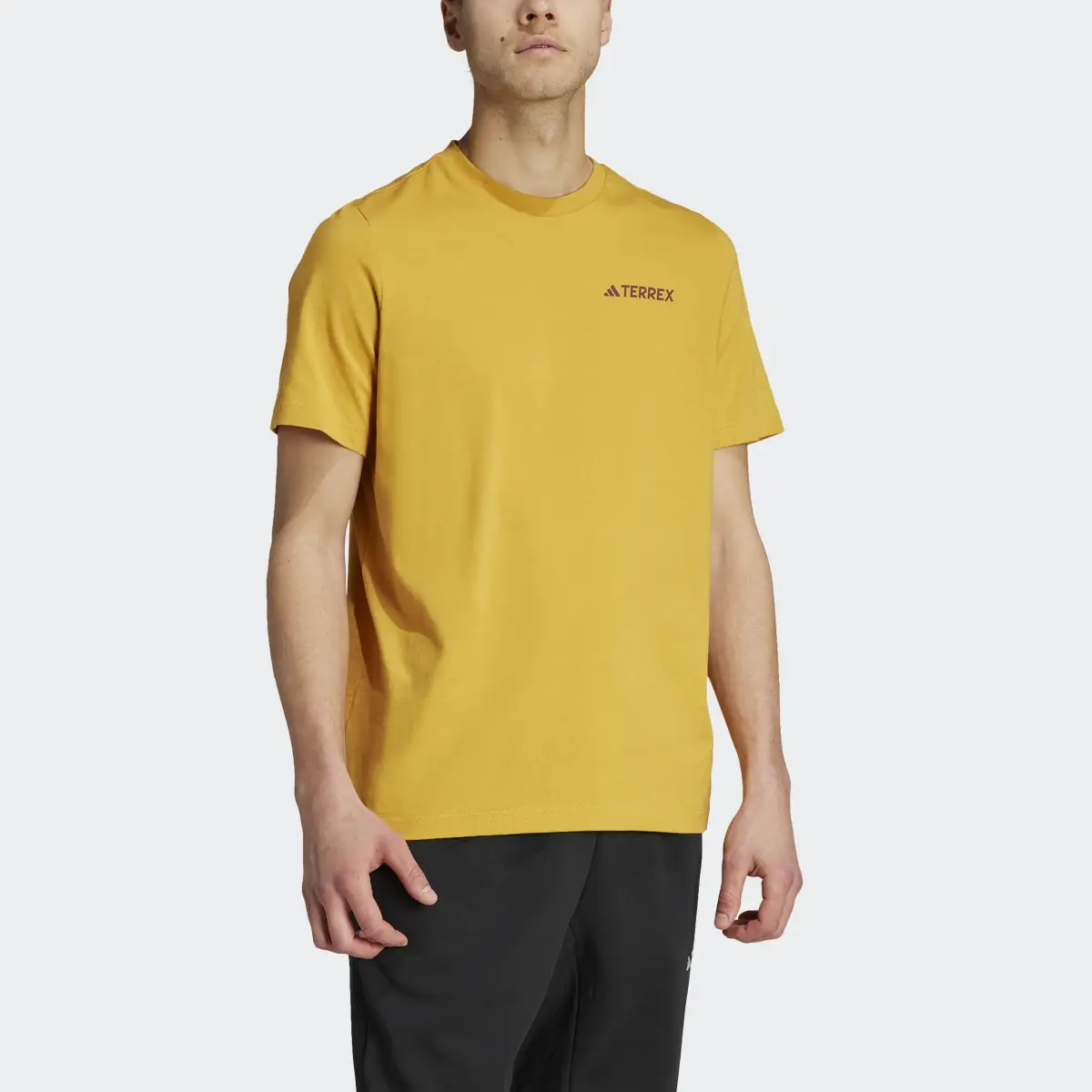 Adidas T-shirt Terrex Graphic Altitude. 1