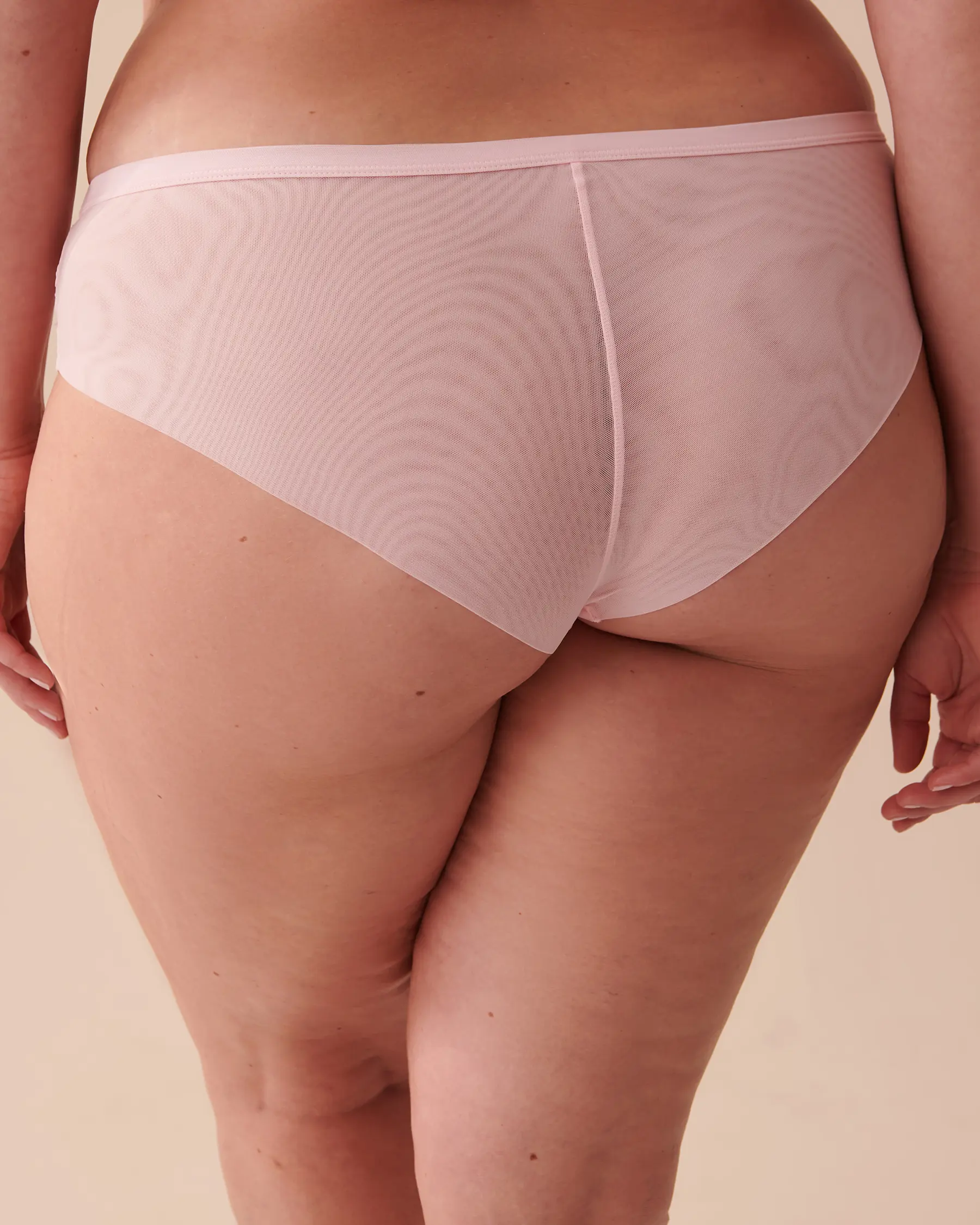 La Vie en Rose Embroidered Mesh Cheeky Panty. 2