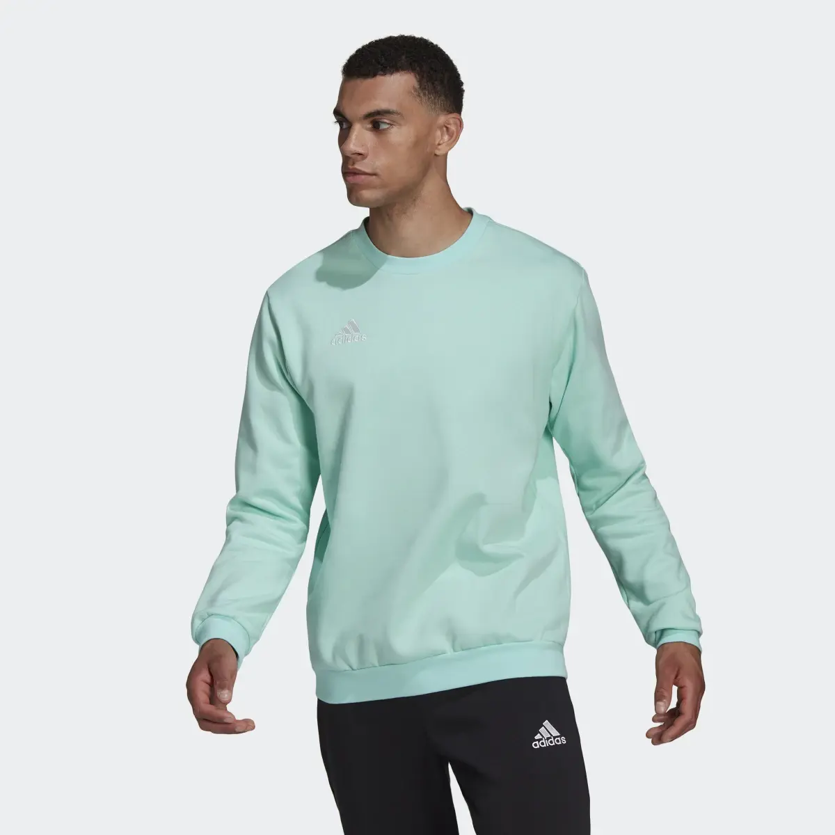 Adidas Sweat-shirt Entrada 22. 2