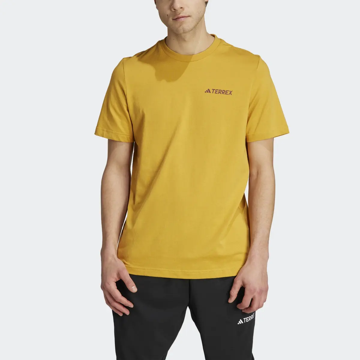 Adidas T-shirt graphique Terrex MTN 2.0. 1