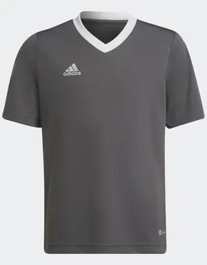 Adidas Camisola Entrada 22