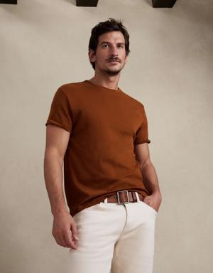 Banana Republic Luxury-Touch Performance T-Shirt brown