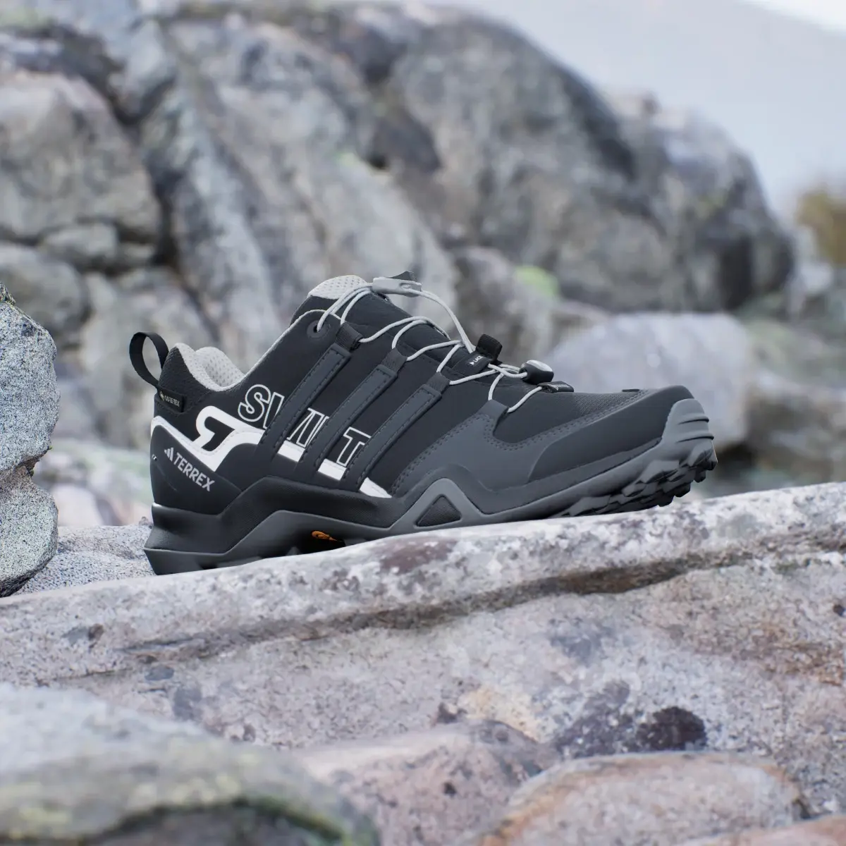 Adidas Terrex Swift R2 GORE-TEX Hiking Shoes. 3