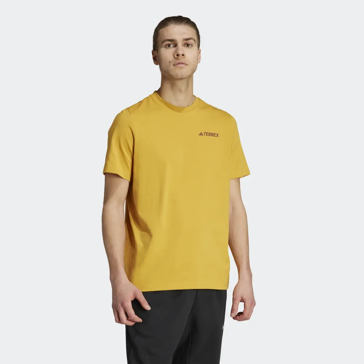 Adidas Camiseta Terrex Graphic Altitude. 2