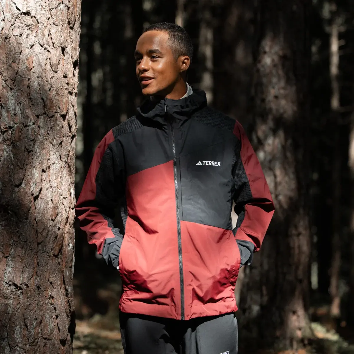 Adidas terrex hybrid softshell jacket online