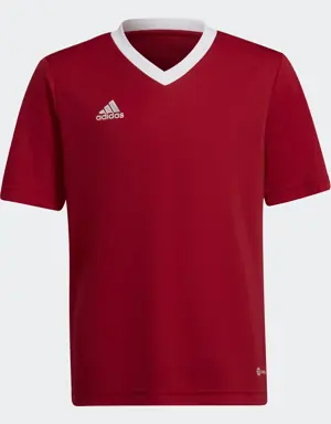 Adidas Entrada 22 Trikot