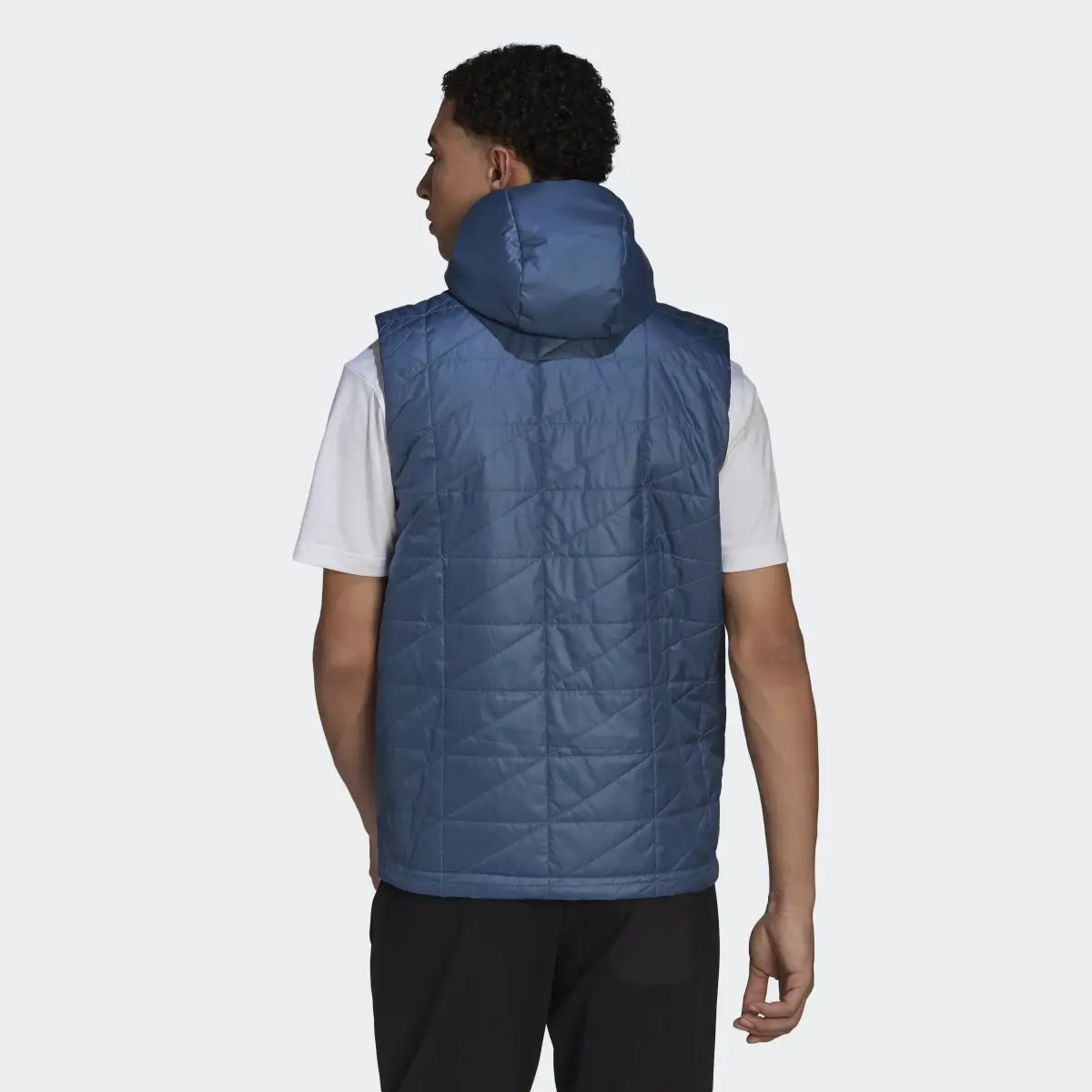 Adidas Terrex Multi Insulated Vest. 3