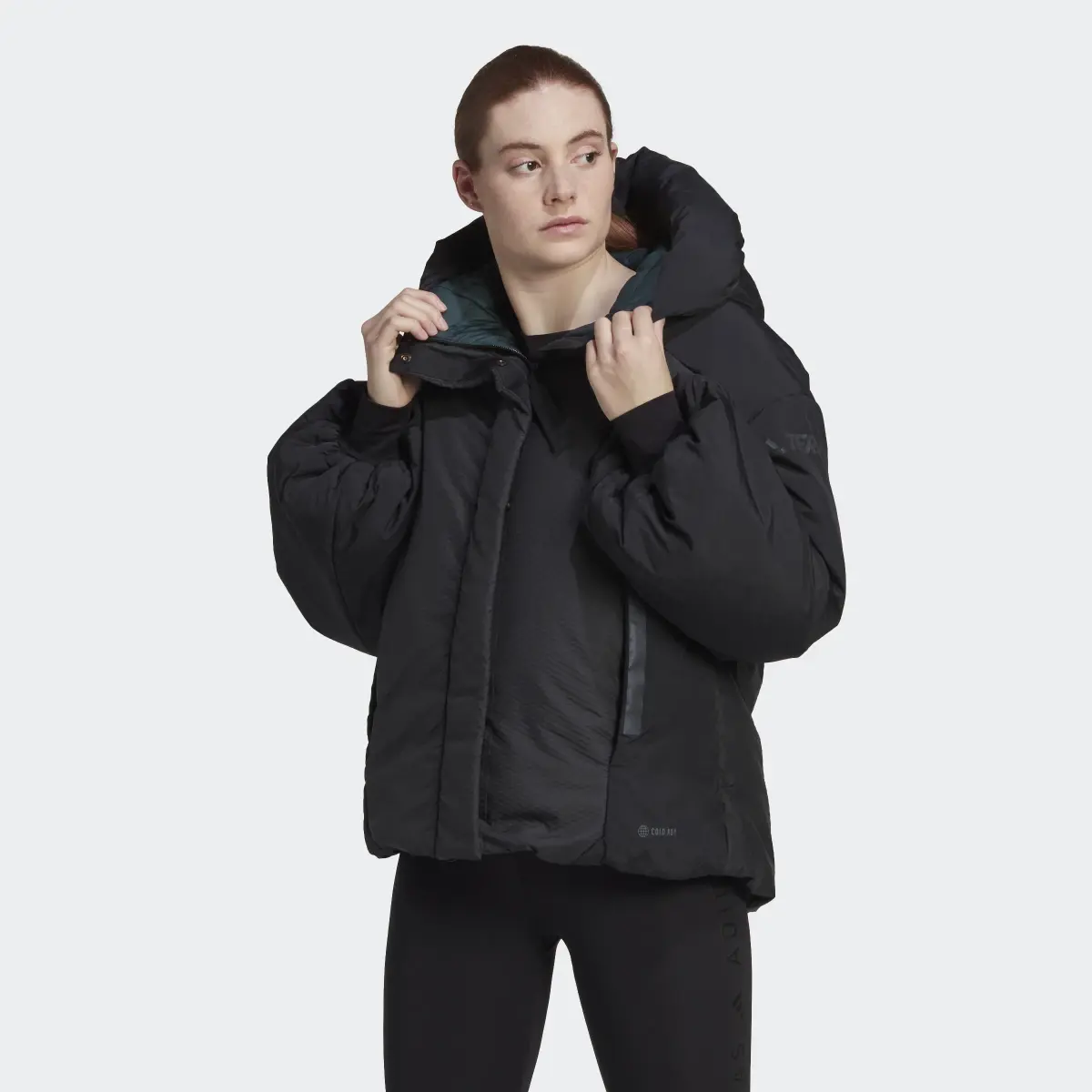 Adidas Terrex MYSHELTER COLD.RDY Jacket. 2