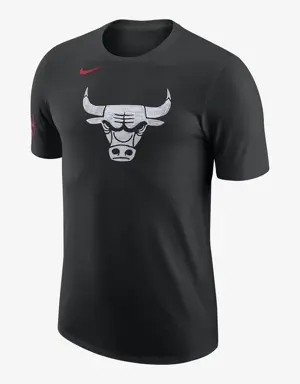 Chicago Bulls City Edition