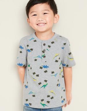 Printed Jersey Henley for Toddler Boys gray