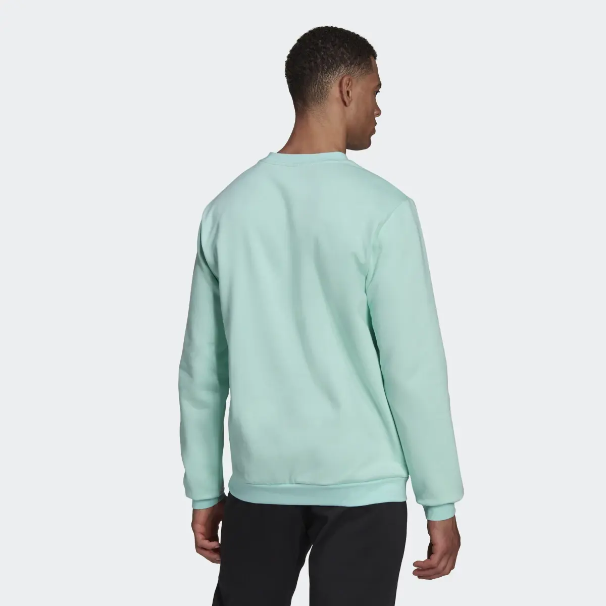 Adidas Sweatshirt Entrada 22. 3