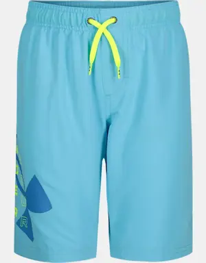 Little Boys' UA Velocity Swim Volley Shorts