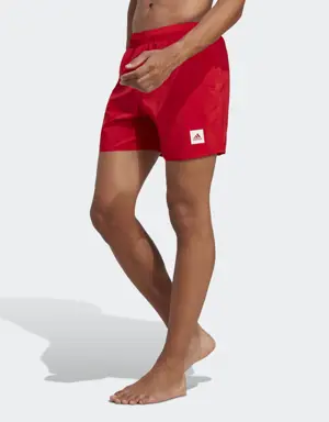 Short Length Solid Swim Shorts