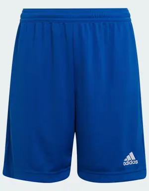 Adidas Shorts Entrada 22