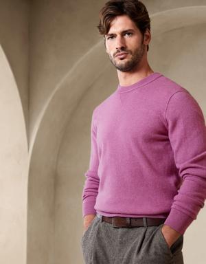 Sarno Cashmere Crew-Neck Sweater purple