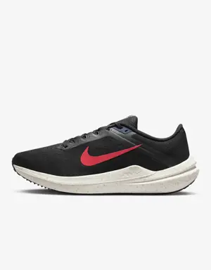 Nike Winflo 10