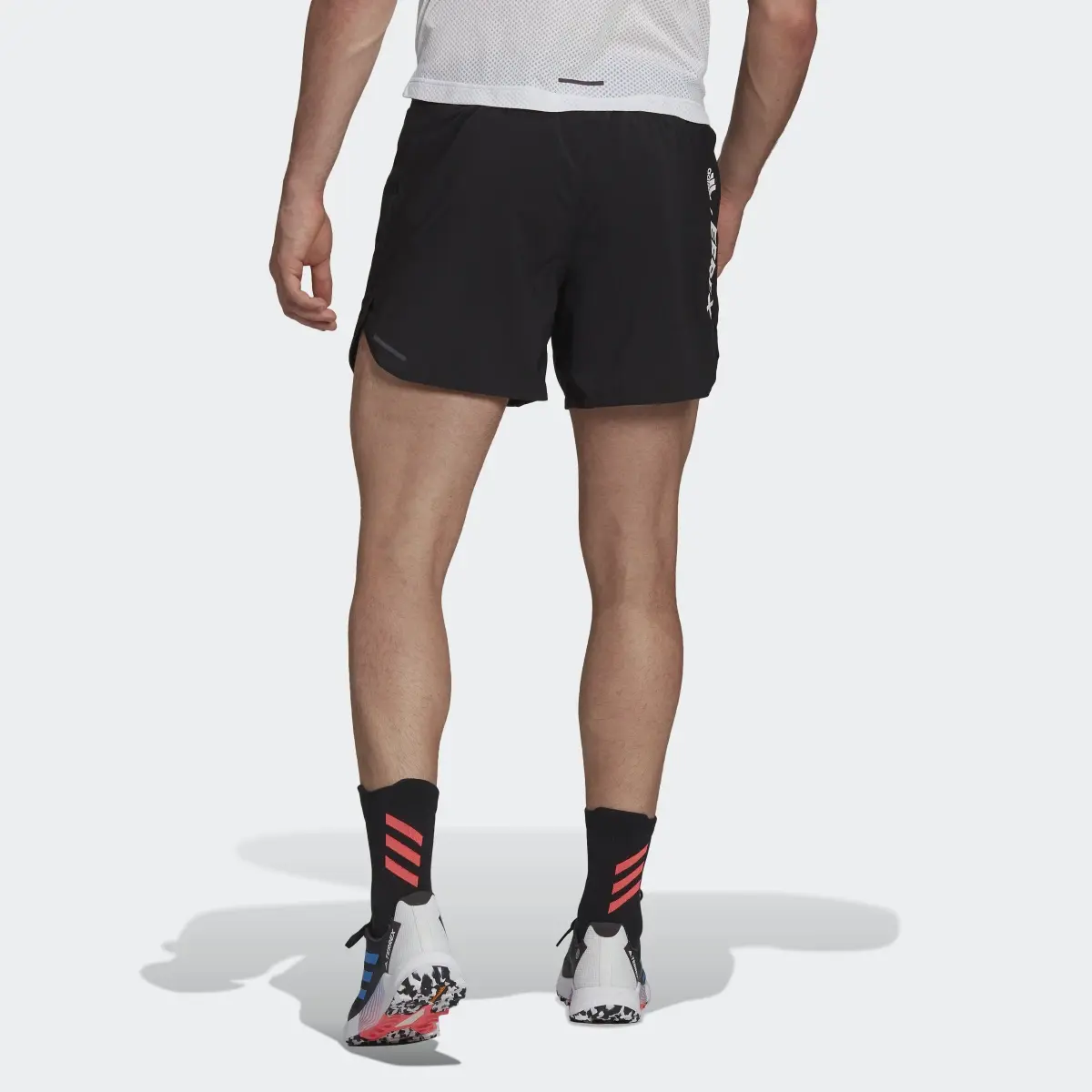 Adidas TERREX Agravic Shorts. 3