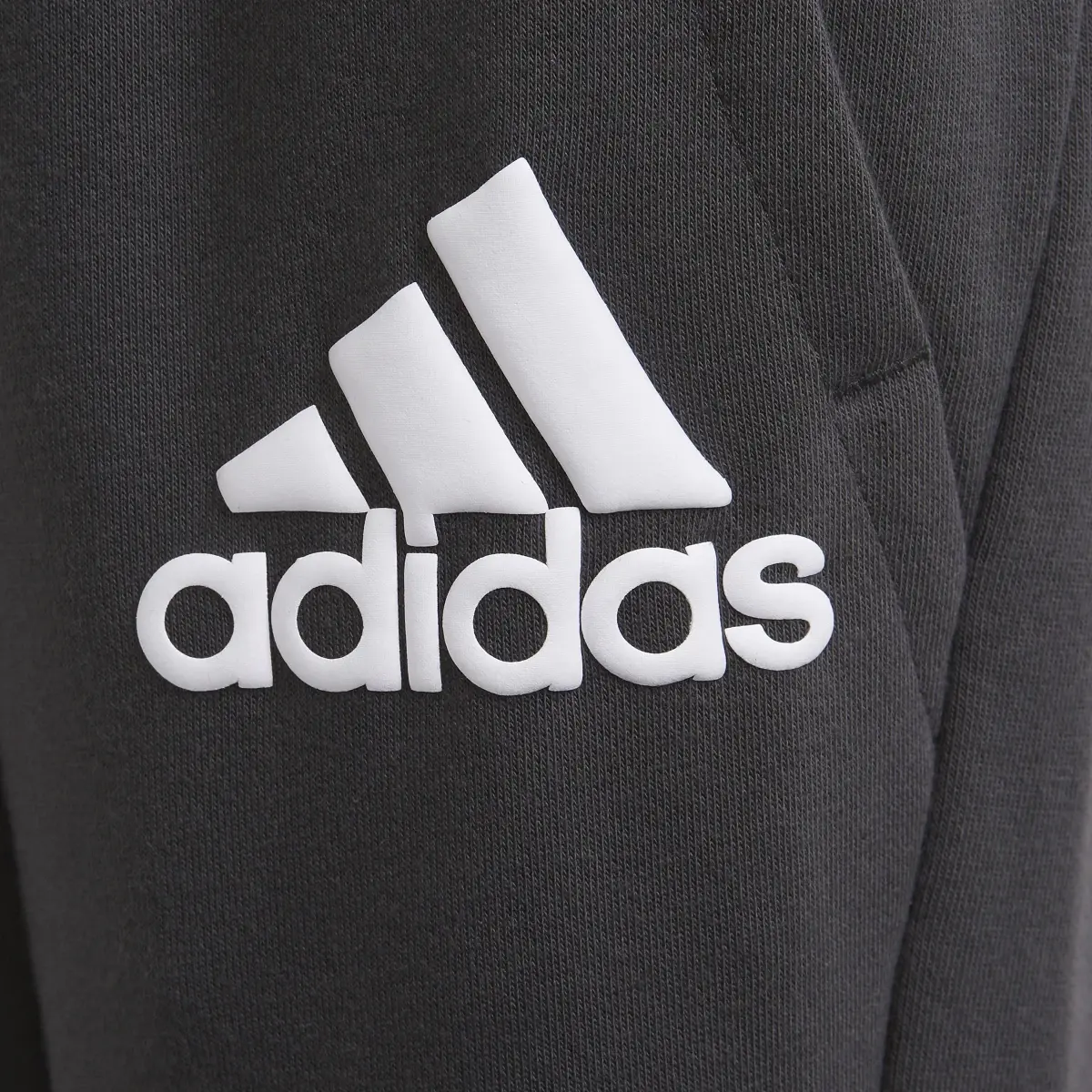 Adidas Badge of Sport Pants. 3