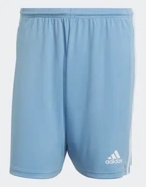 Squadra 21 Shorts