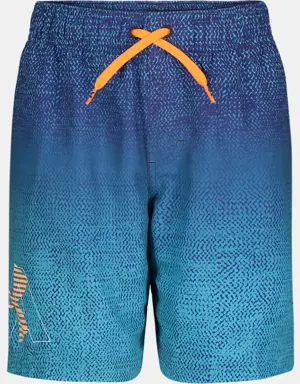 Little Boys' UA Texture Maze Swim Volley Shorts