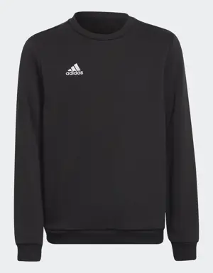 Adidas Entrada 22 Sweatshirt
