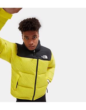 Veste 1996 Retro Nuptse pour homme