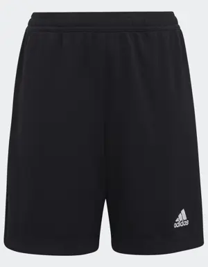 Adidas Short d'entraînement Entrada 22