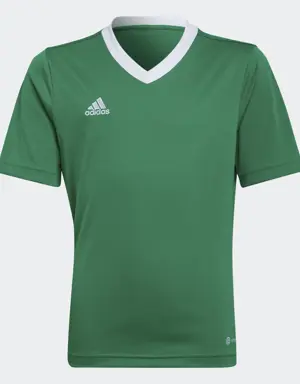 Adidas Maglia Entrada 22