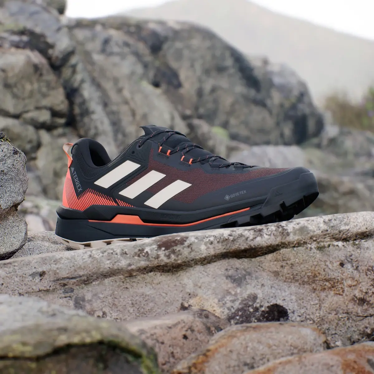 Adidas Zapatilla Terrex Skychaser Tech GORE-TEX Hiking. 3