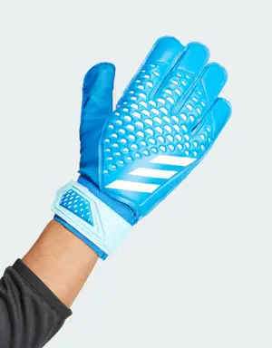 Predator Training Gloves