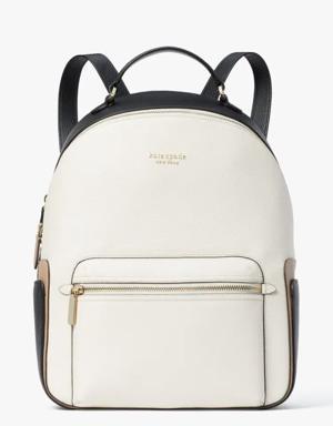 Hudson Colorblocked Large Backpack