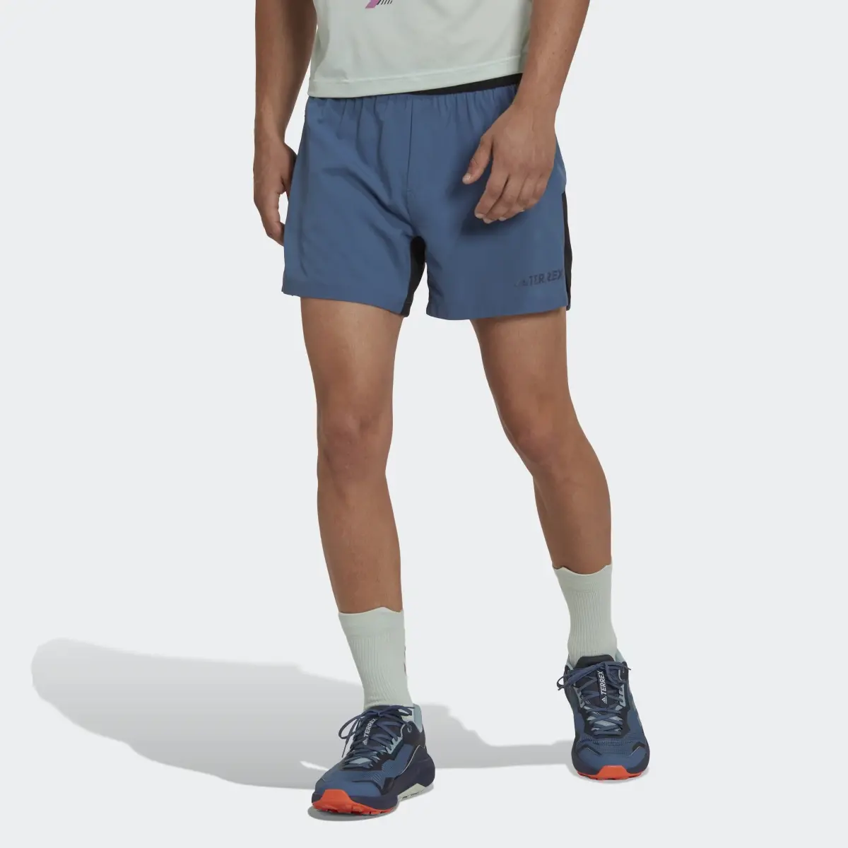 Adidas Terrex Trail Running Shorts. 1