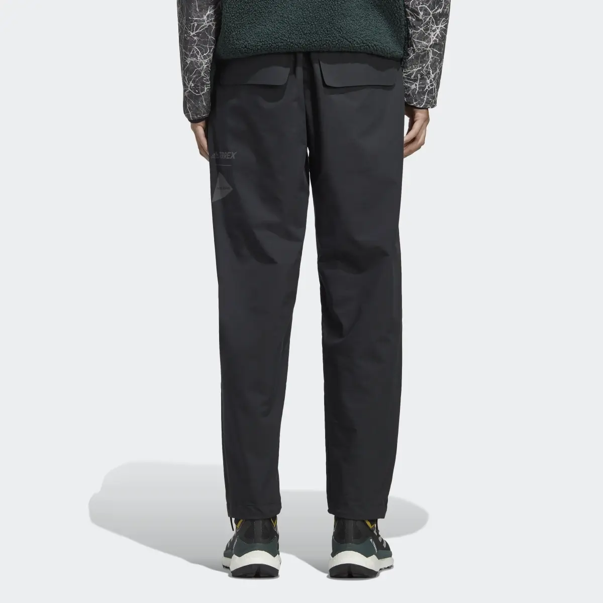 Adidas Pants Terrex x and wander. 2