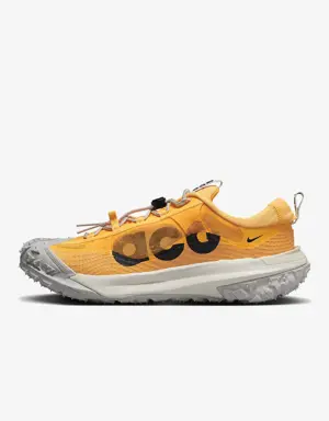 Nike ACG Mountain Fly 2 Low