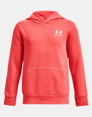 Boys' UA Icon Fleece Hoodie