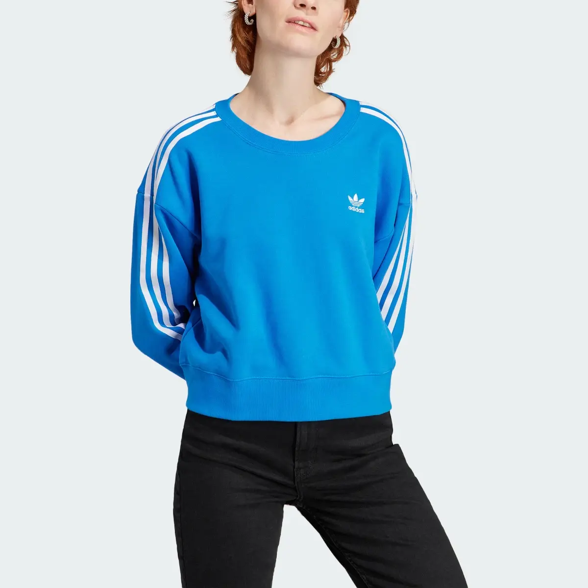 Adidas Adicolor Classics Loose Sweatshirt. 1