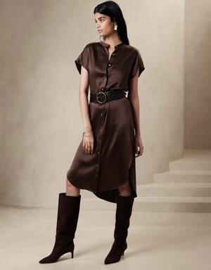 Petite Serenade Silk Shirtdress brown