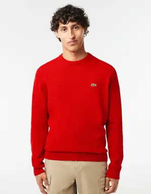 Lacoste Men's Crew Neck Wool Sweater