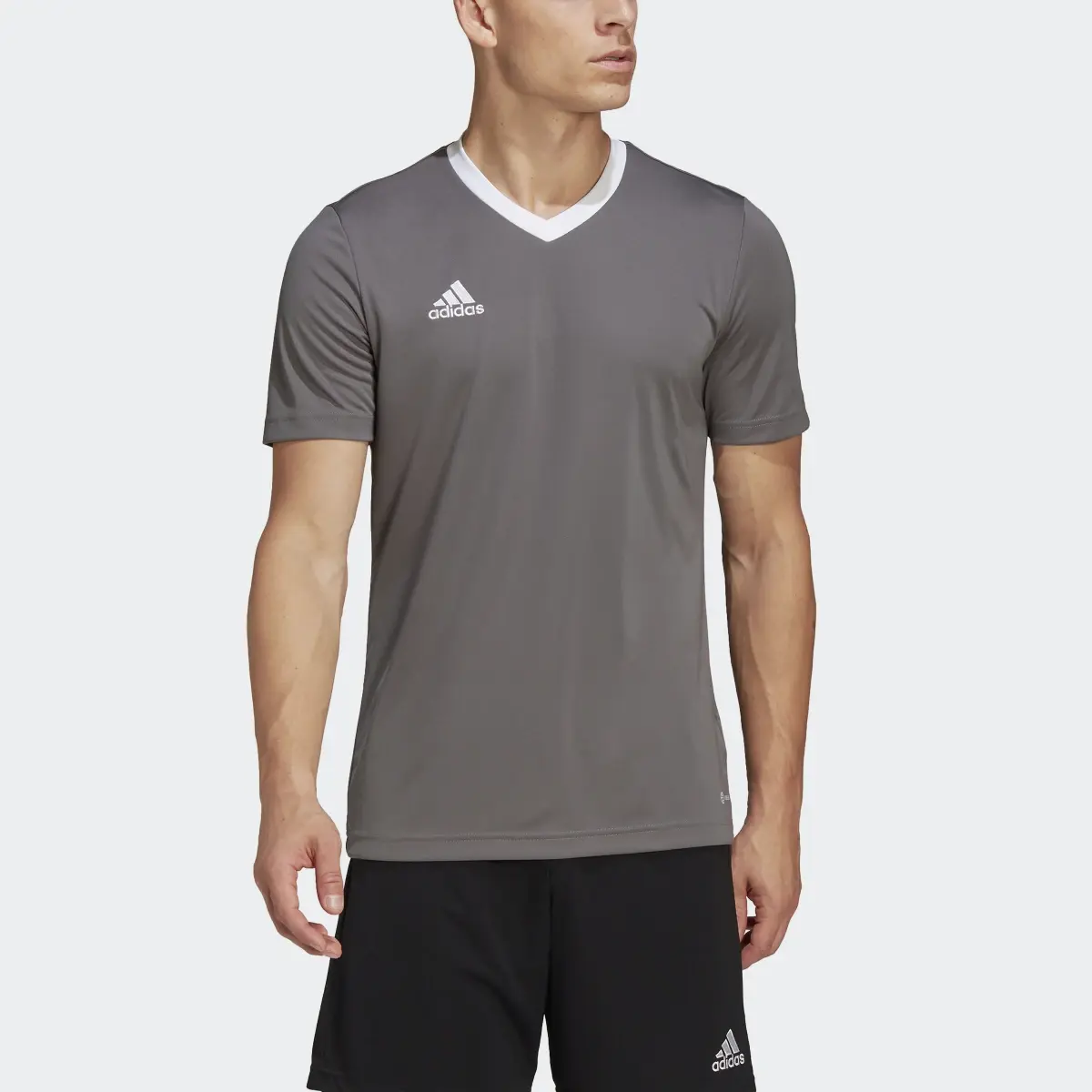 Adidas Entrada 22 Trikot. 1