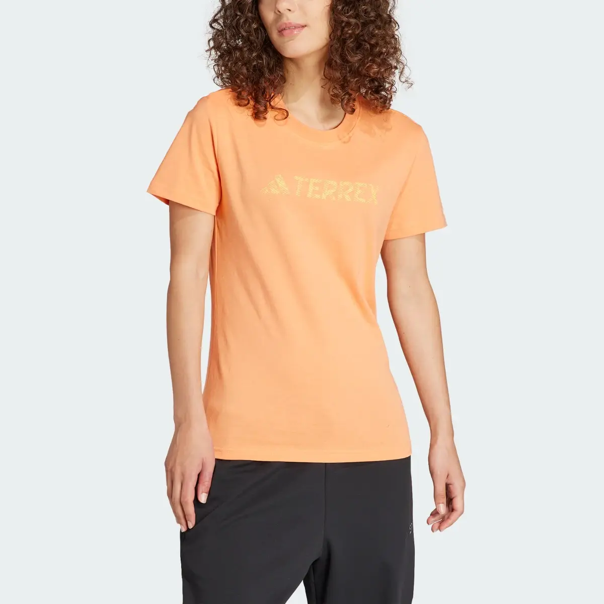 Adidas Terrex Classic Logo Tee. 1