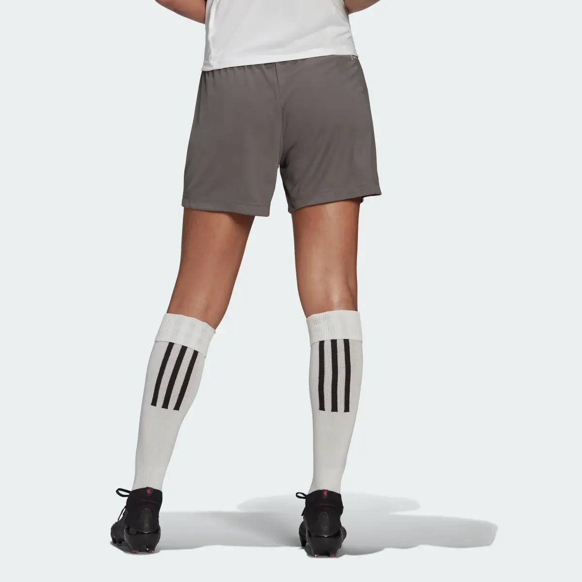 Adidas Entrada 22 Shorts. 2