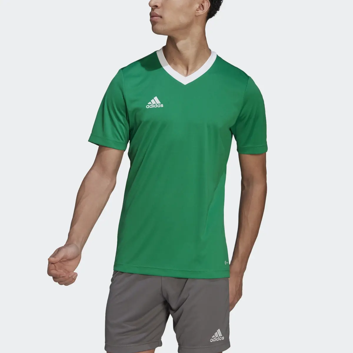 Adidas Camisola Entrada 22. 1