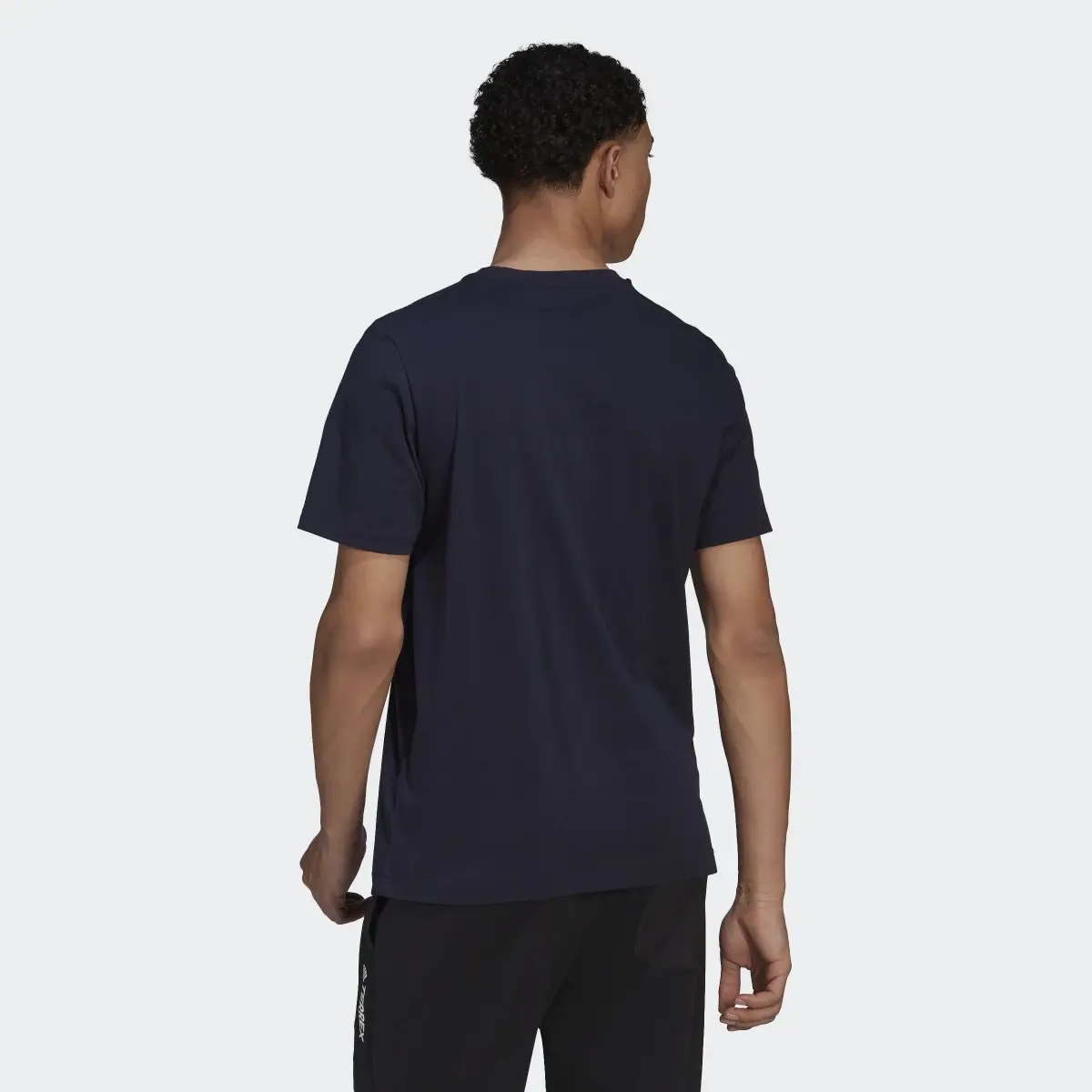 Adidas Terrex Classic Logo T-Shirt. 3