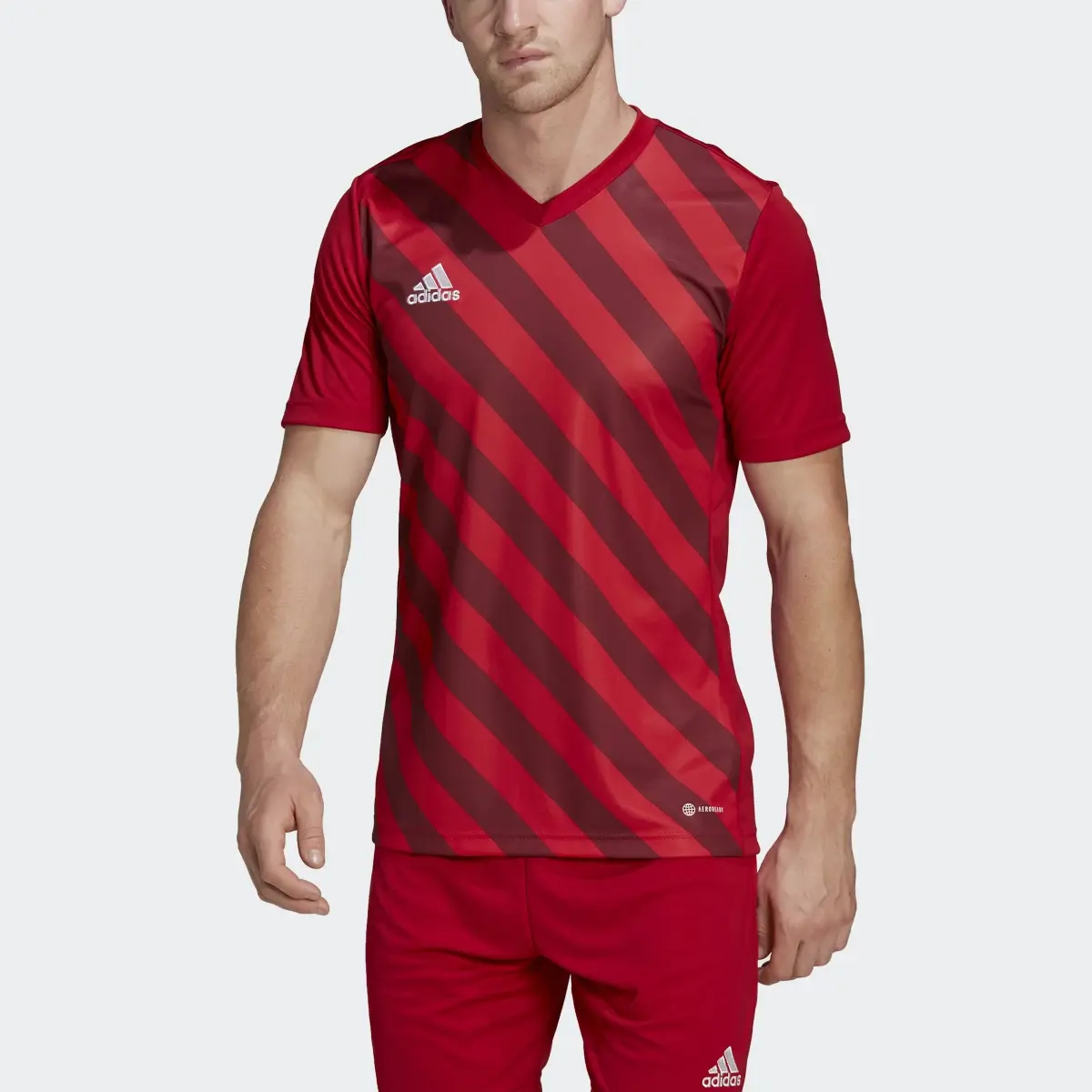 Adidas Entrada 22 Graphic Jersey. 1