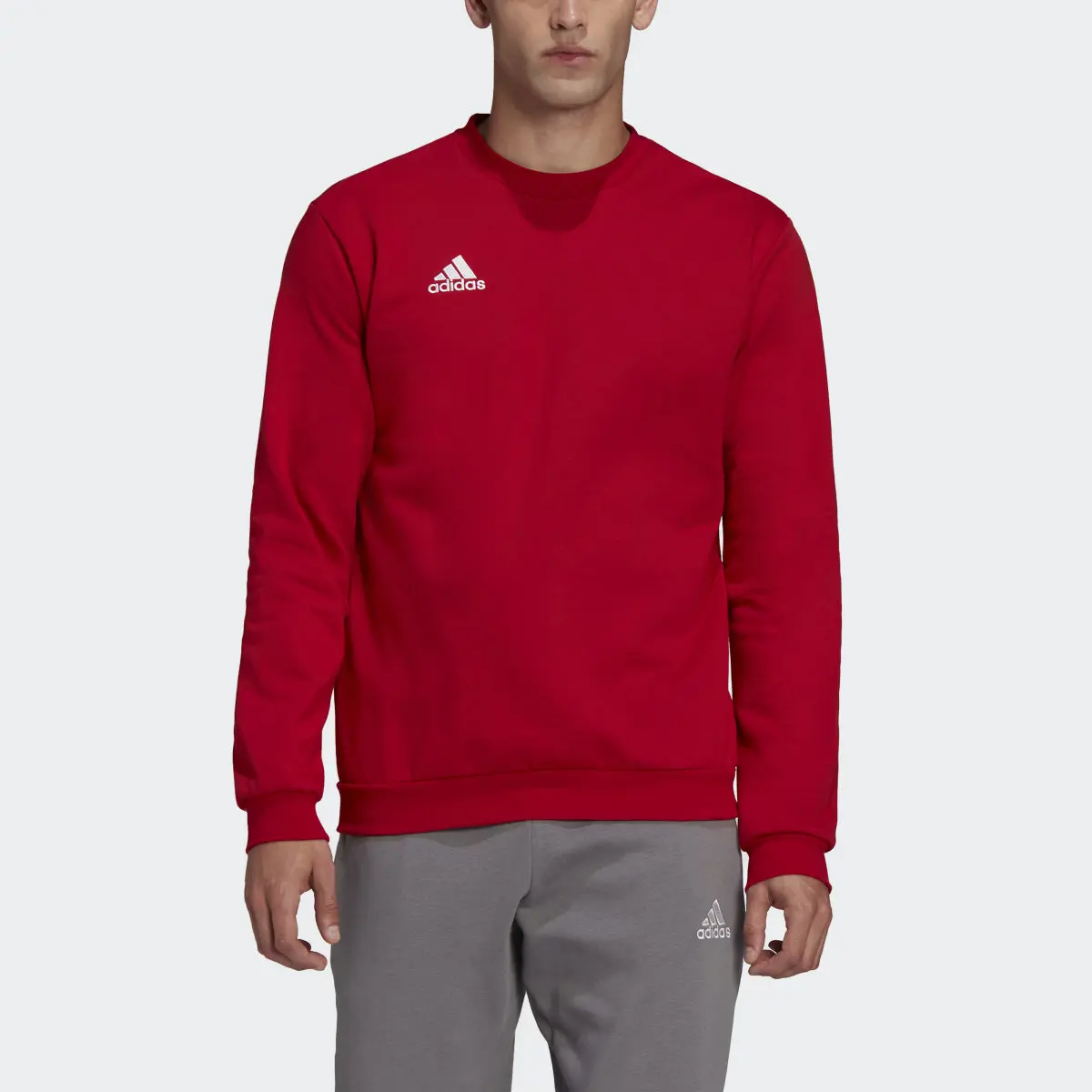 Adidas Entrada 22 Sweatshirt. 1