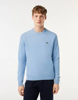 Lacoste Sweater em lã com decote redondo para homem