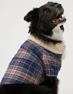 American Eagle OFFLEASH By Aerie Flannel Dog Shirt. 1